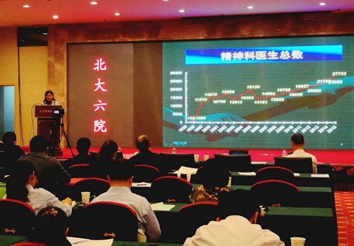 图为中国残联副主席、北京大学第六医院教授黄悦勤在会上发言